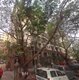 Flat on rent in Purvi, Andheri West