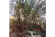 2 Bhk Flat In Andheri West For Sale In Purvi