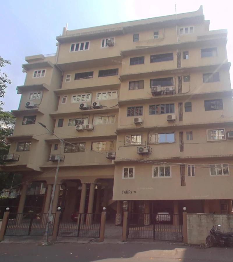 1 - Tulip, Nepeansea Road