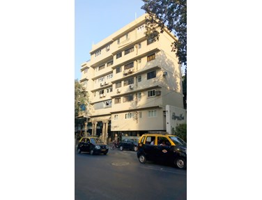 Tulip, Nepeansea Road