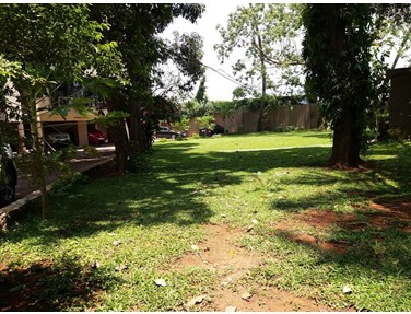 Garden - Rising Sun, Juhu