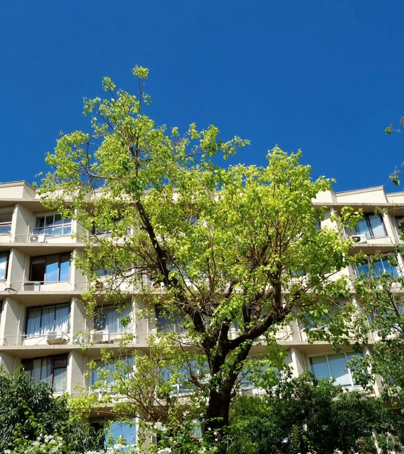 2 - Blue Heaven, Walkeshwar