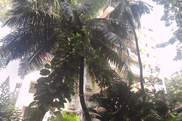 Flat on rent in Sunshine Apartment, Breach Candy