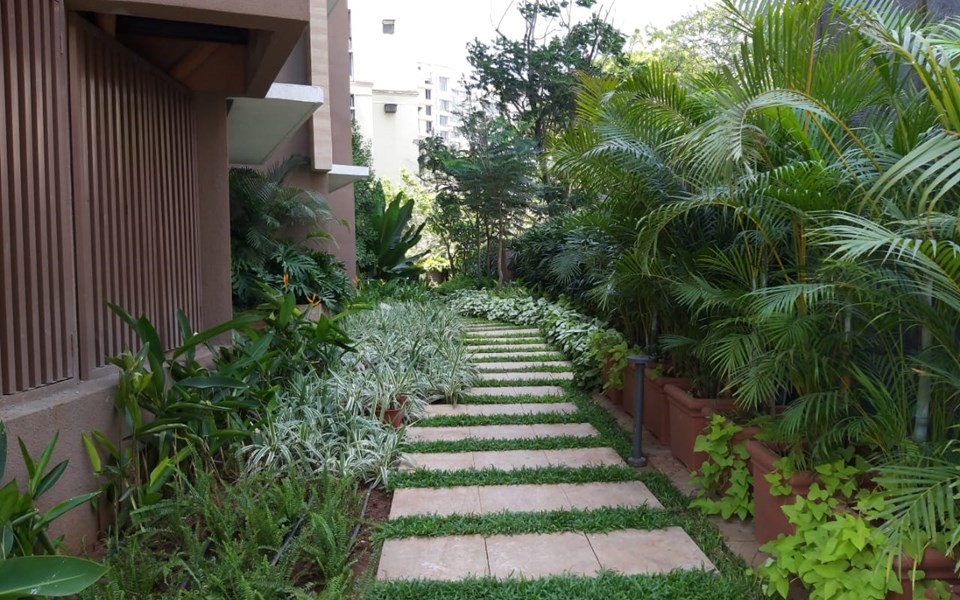Building21 - Kalpataru Solitaire, Juhu