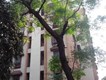 Flat for sale in Kingston Building, Andheri West