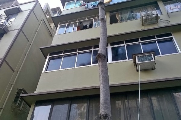 Flat for sale in Daulat Shirin, Colaba