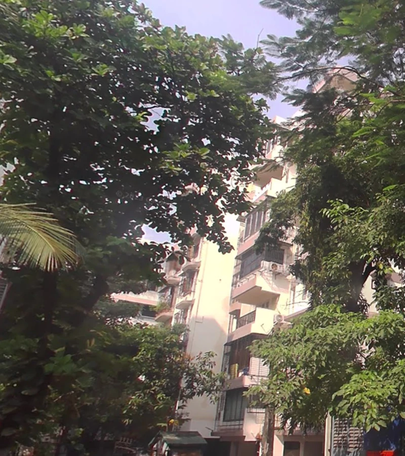 Greenfeild - Green Fields, Juhu