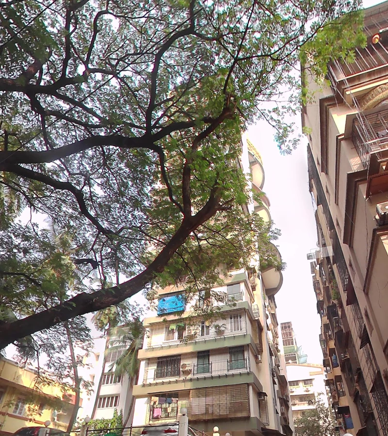 Aquaris - Aquarius, Bandra West