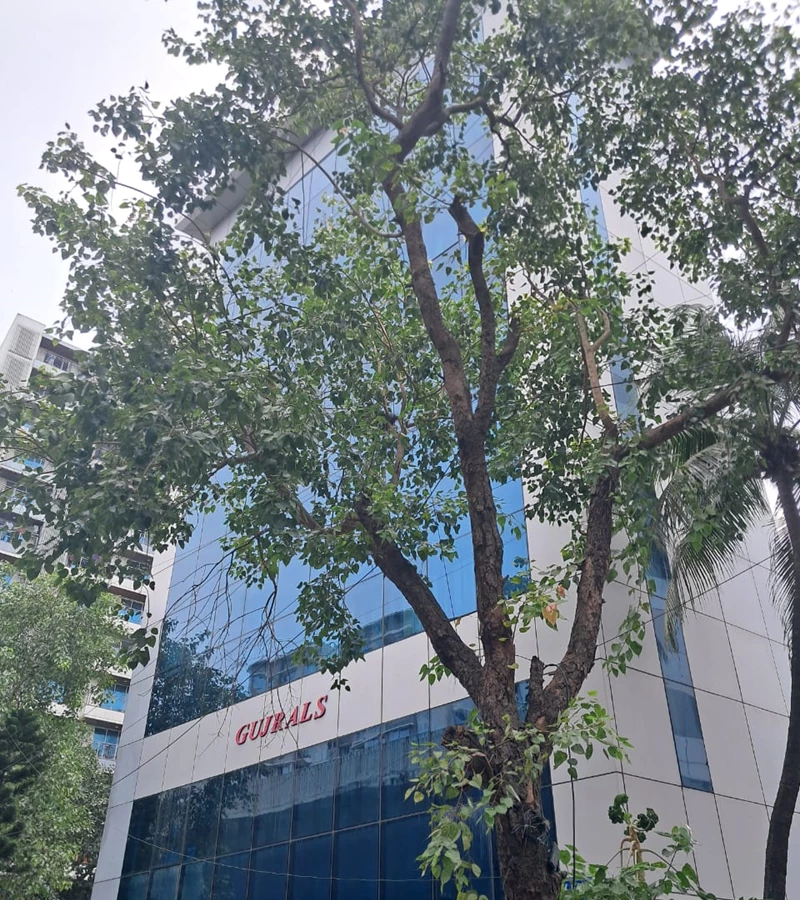 6 - Gujral House, Santacruz East
