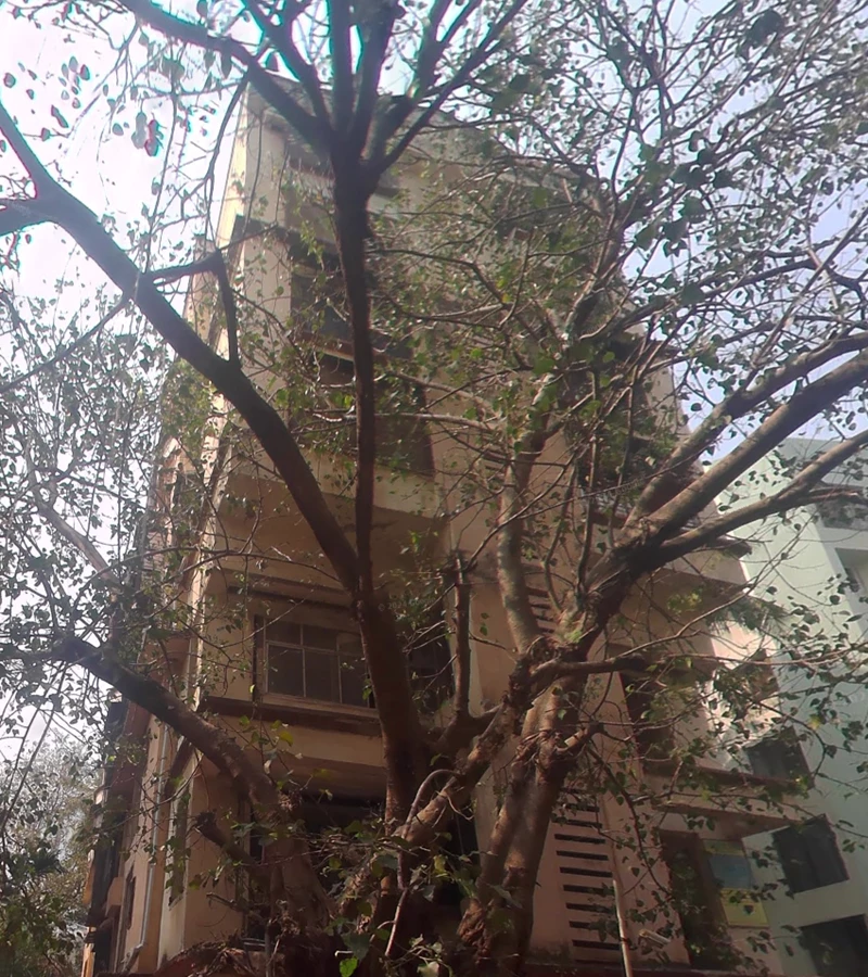 Himatghar - Himath Ghar, Khar West