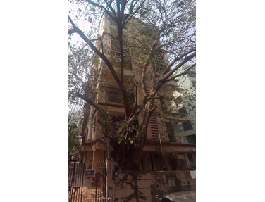 Flat on rent in Himath Ghar, Khar West