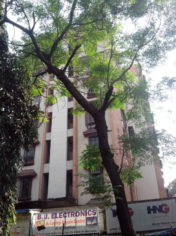 1 BHK Flat on Rent in Andheri West - Kingston Apartment