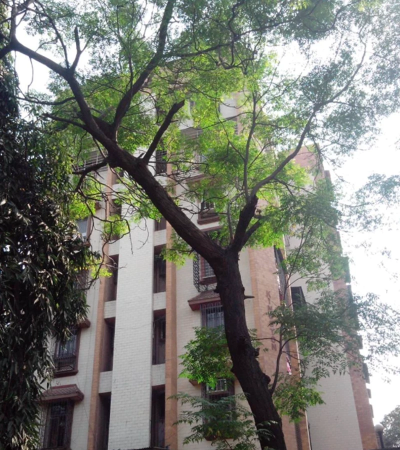 1 - Kingston Apartment, Andheri West