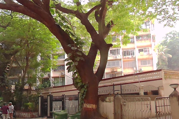 Flat for sale in Shailja Apartments, Bandra West