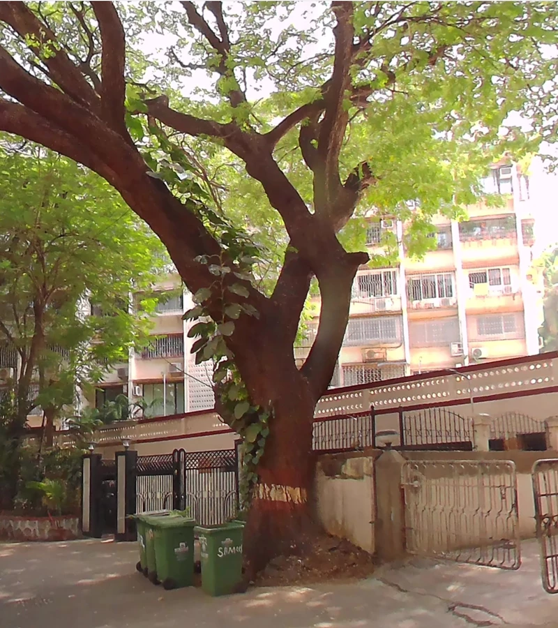 2 - Shailja Apartments, Bandra West