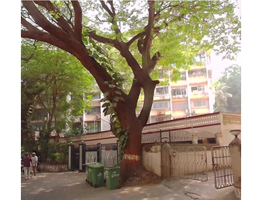 Flat on rent in Shailja Apartments, Bandra West