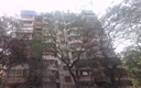 Flat on rent in Trishul, Bandra West