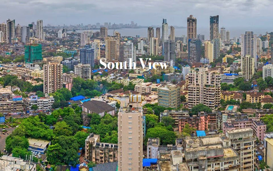 8 - Imperial Edge, Tardeo