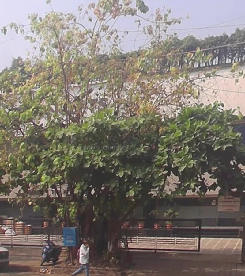 23 - Vikas Center, Santacruz West