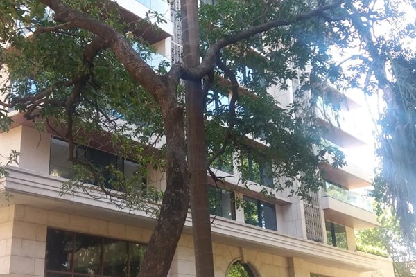 Flat on rent in Art Veda, Bandra West