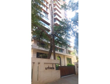 Art Veda, Bandra West