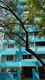 Flat on rent in Amore, Bandra West
