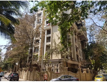 Chrysalis, Juhu