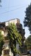 Flat on rent in Jagir Apartment, Bandra West