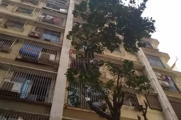 Flat on rent in Silver Sands, Andheri West
