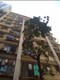 Flat on rent in Silver Sands, Andheri West