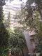 Flat on rent in Elco Residency, Bandra West