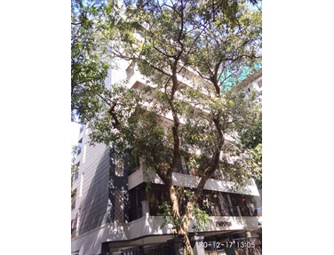 Emporis, Bandra West