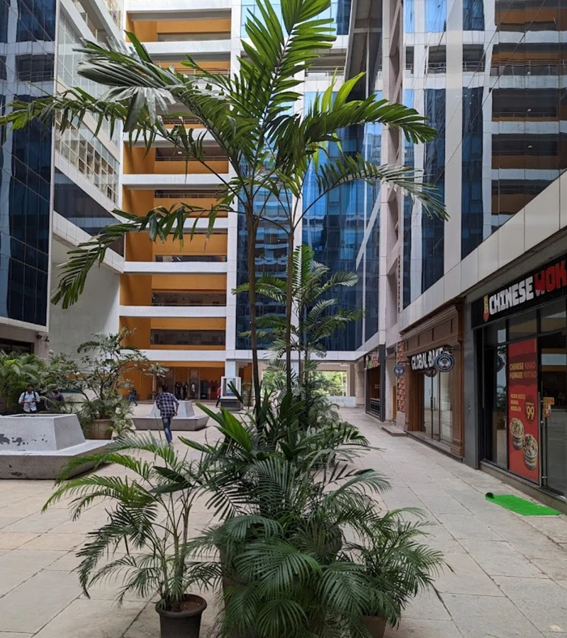 5 - Rupa Solitare, Koparkhairne