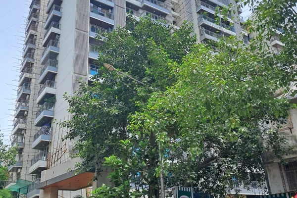 Flat on rent in Insignia, Santacruz East