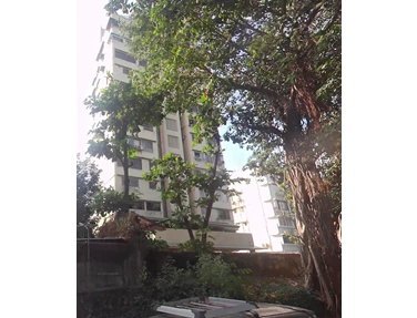 1 - Red Rose Apartments - Worli, Worli