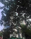 Office on rent in Anand Centre, Bandra West