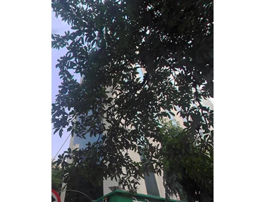 Anandcentre - Anand Centre, Bandra West