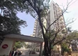 Flat on rent in Kanakia Zen World, Kanjur Marg