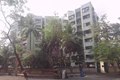 Flat on rent in Sagar Shrot Building, Andheri West