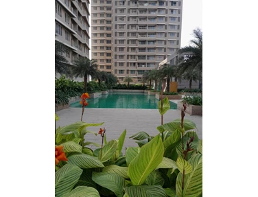 Flat on rent in Kalpataru Radiance, Goregaon West