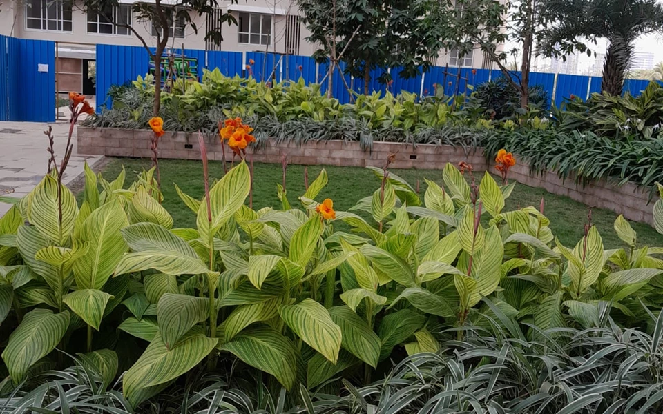 4 - Kalpataru Radiance, Goregaon West