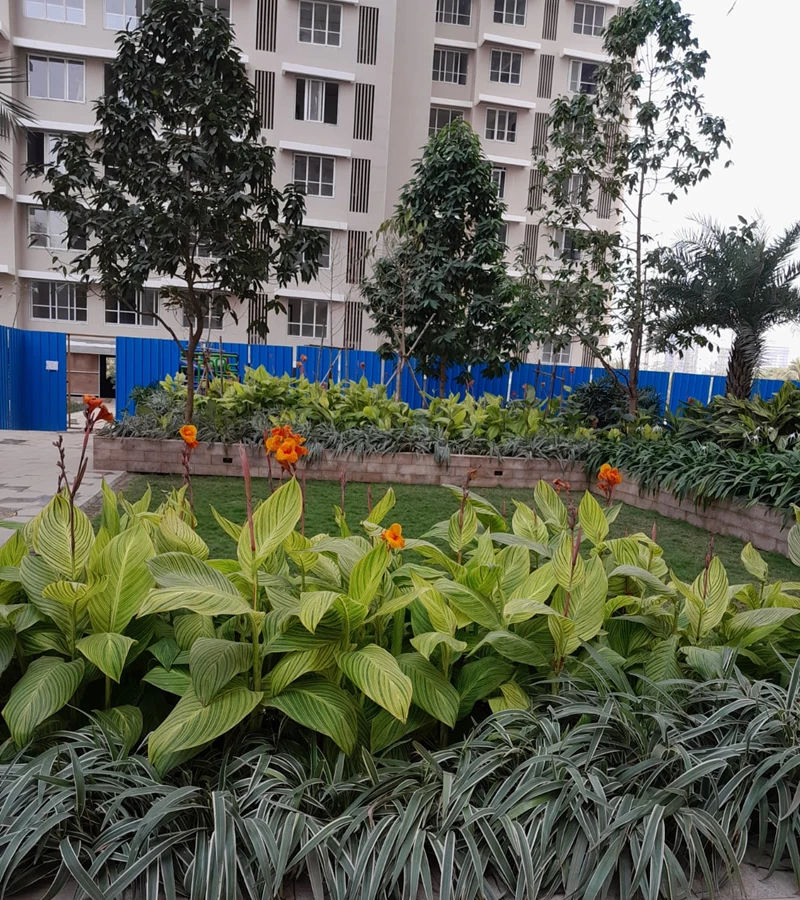 4 - Kalpataru Radiance, Goregaon West