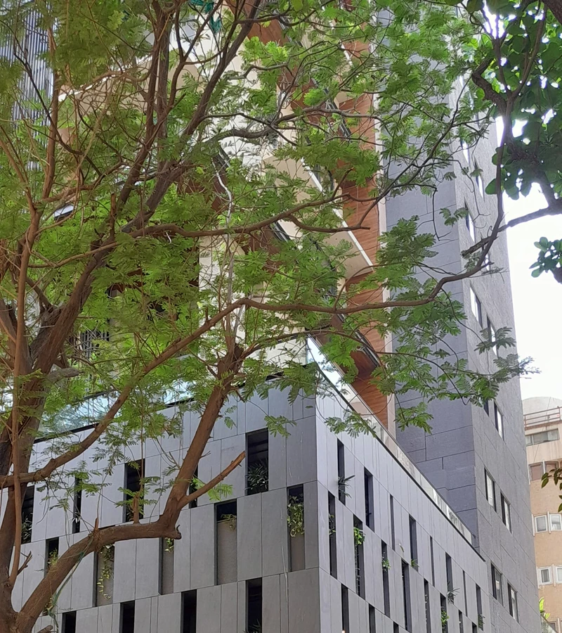 6 - Maple Shades, Bandra West