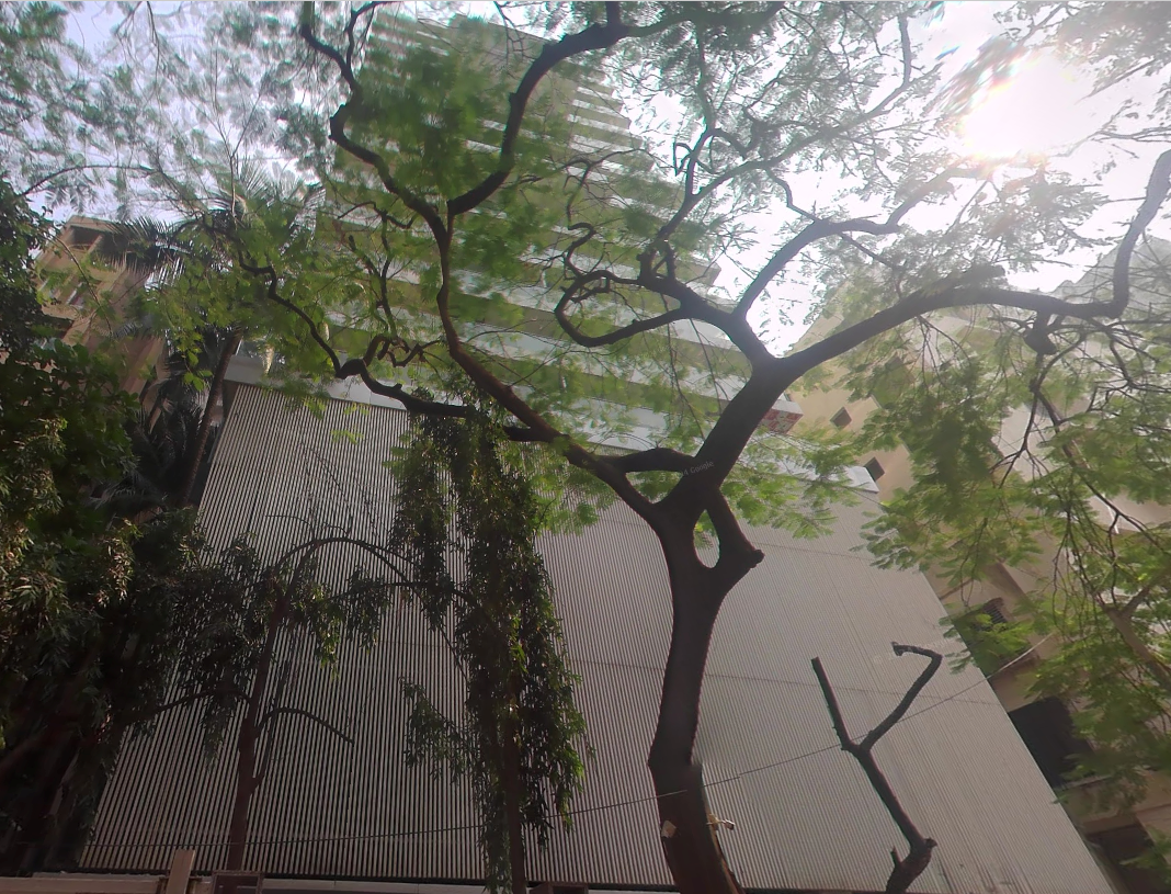 3 BHK Flat on Rent in Santacruz West - Westend Apartment