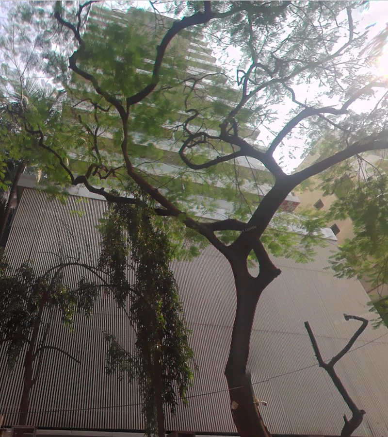 1 - Westend Apartment, Santacruz West