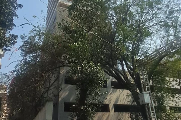 Flat on rent in One Altamount, Altamount Road