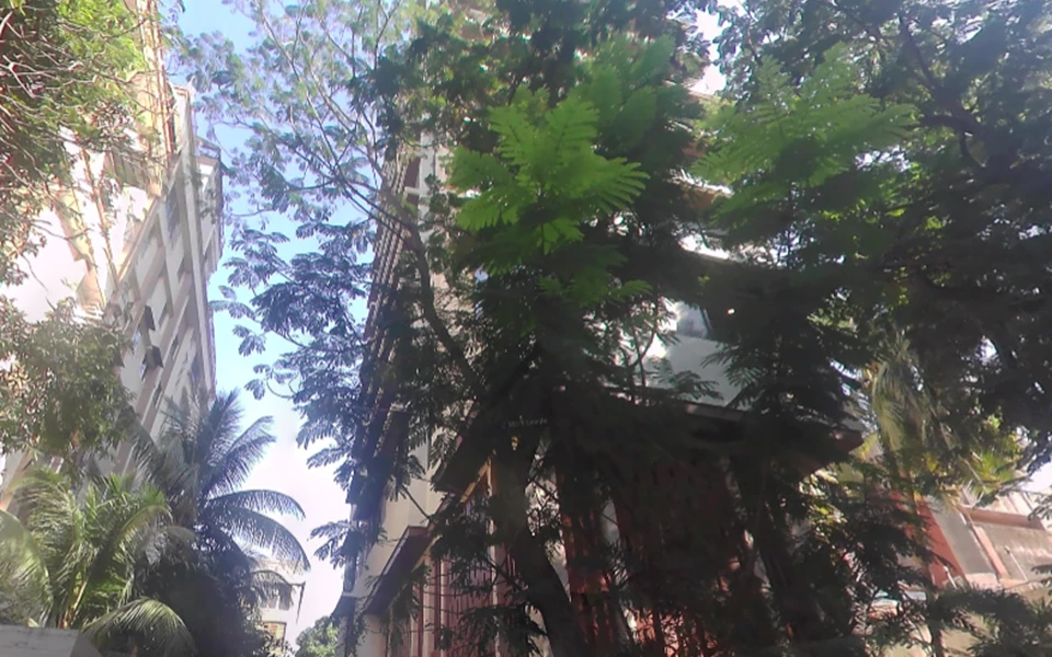 1 - Lotus Anaya, Juhu