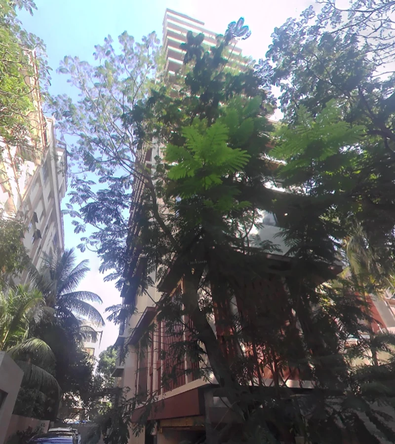 1 - Lotus Anaya, Juhu