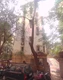 Flat on rent in Crystal CHS, Andheri West
