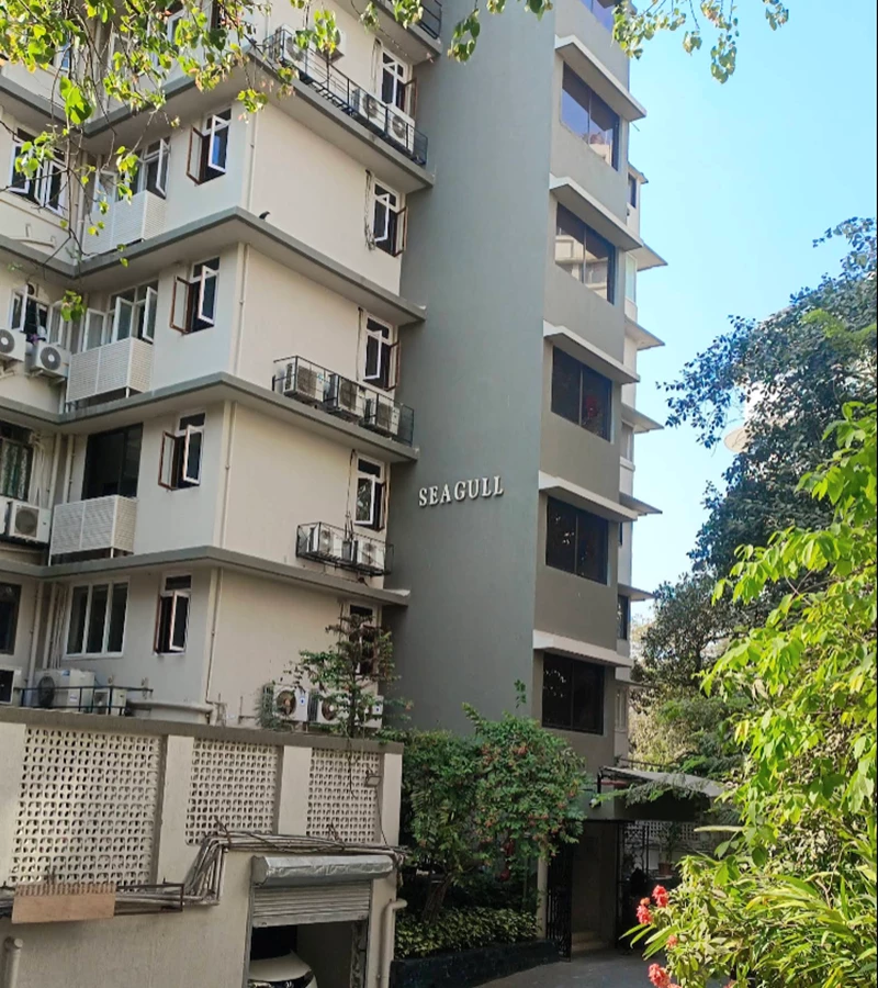 2 - Seagull, Peddar Road